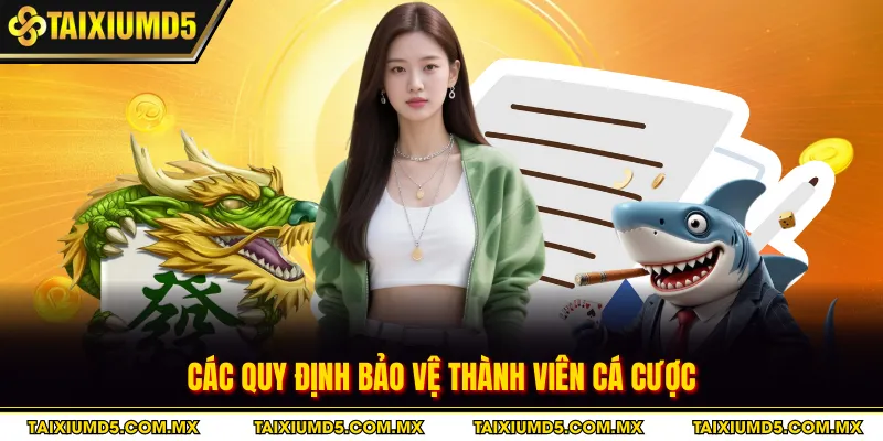 Các quy định bảo vệ thành viên cá cược