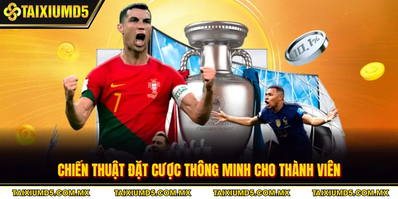 Chiến thuật đặt cược thông minh cho thành viên