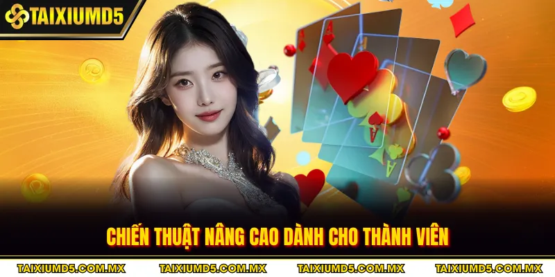 Hướng dẫn cách chơi chi tiết cho thành viên