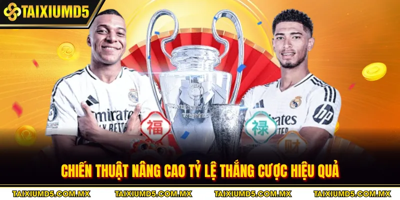 Chiến thuật nâng cao tỷ lệ thắng cược hiệu quả