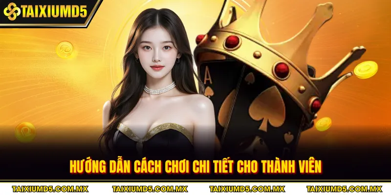 Chiến thuật nâng cao dành cho thành viên