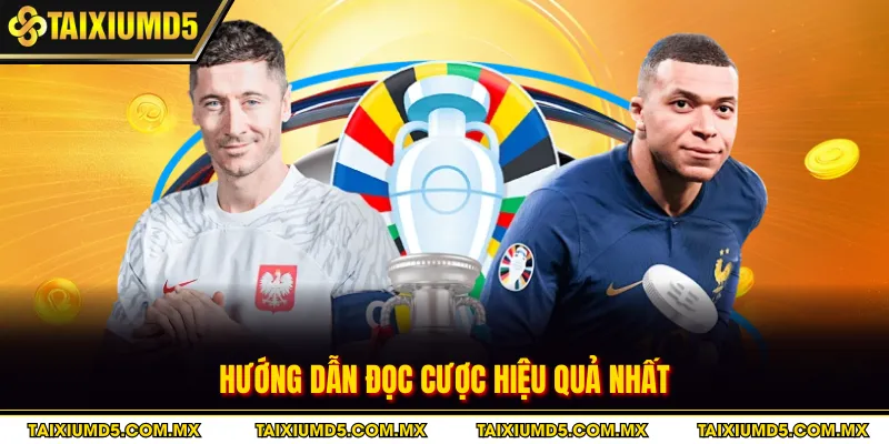 Hướng dẫn đọc cược hiệu quả nhất