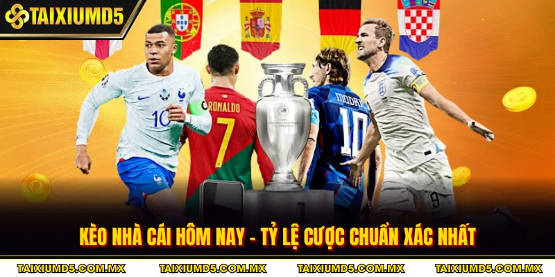 Kèo Nhà Cái Hôm Nay - Tỷ Lệ Cược Chuẩn Xác Nhất