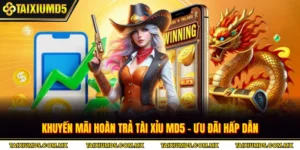 Khuyến Mãi Hoàn Trả Tài Xỉu MD5 - Ưu Đãi Hấp Dẫn