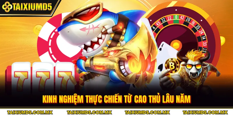 Kinh nghiệm thực chiến từ cao thủ lâu năm