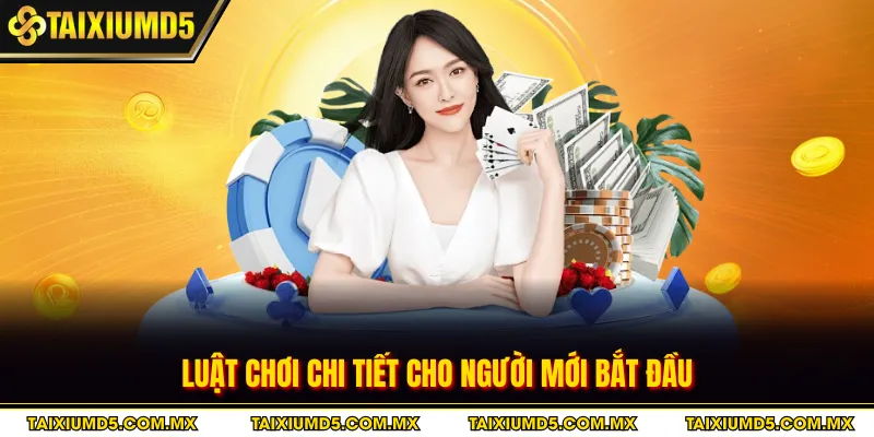 Luật chơi chi tiết cho người mới bắt đầu