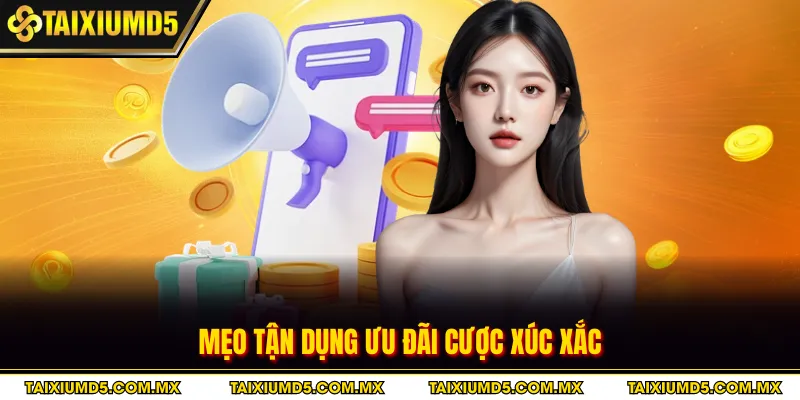 Mẹo tận dụng ưu đãi cược xúc xắc