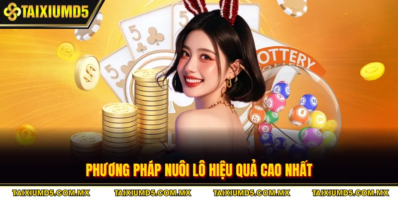 Phương pháp nuôi lô hiệu quả cao nhất