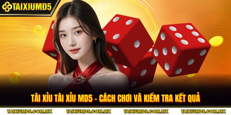 Tài Xỉu Tài Xỉu MD5 - Cách Chơi Và Kiểm Tra Kết Quả