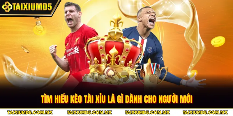 Tìm hiểu kèo Tài Xỉu là gì dành cho người mới