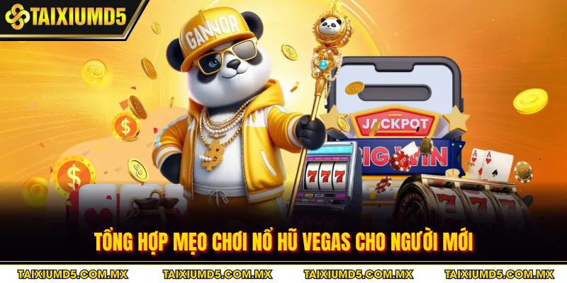 Tổng hợp mẹo chơi Nổ hũ Vegas cho người mới
