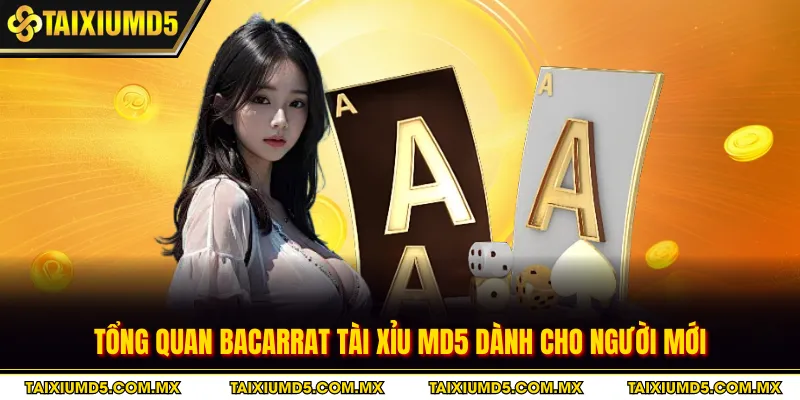 Tổng quan bacarrat tài xỉu MD5 dành cho người mới
