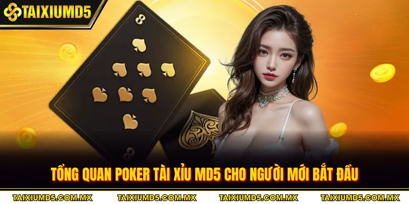 Tổng quan poker tài xỉu MD5 cho người mới bắt đầu