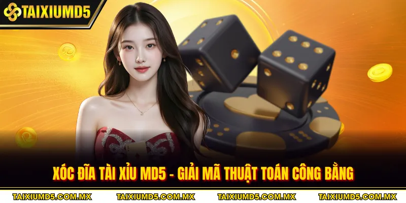 Xóc Đĩa Tài Xỉu MD5 - Giải Mã Thuật Toán Công Bằng